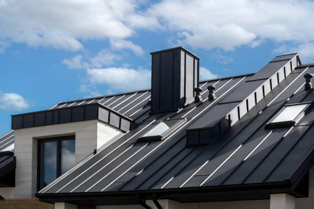 Best Metal Roofing Installation  in Webster, FL